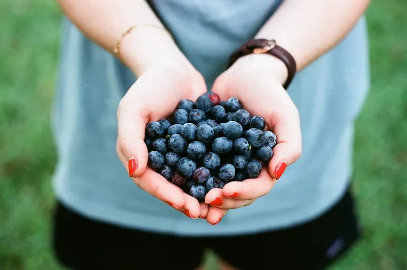 Health & wellness